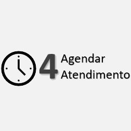 4. Agendamento na Polícia Federal